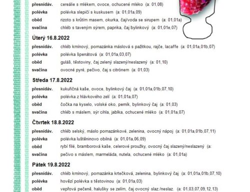 33. týden